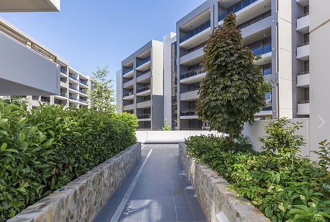 Modern Executive Apt@Barton*1BR*WiFi*Gym*Secure Parking*Canberra - Accommodation Rockhampton 19