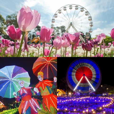 Modern Executive Apt@Barton*1BR*WiFi*Gym*Secure Parking*Canberra - Accommodation Rockhampton 28