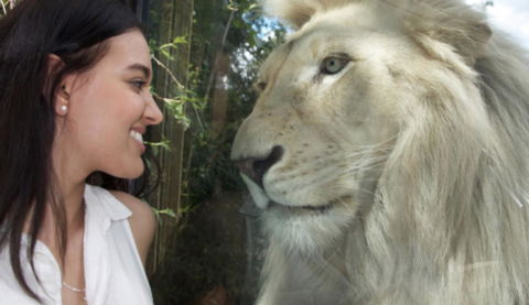 Modern Executive Apt@Barton*1BR*WiFi*Gym*Secure Parking*Canberra - Accommodation Rockhampton 30