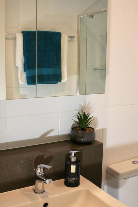 Modern Executive Apt@Barton*1BR*WiFi*Gym*Secure Parking*Canberra - Accommodation Rockhampton 13