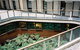 Ovolo Nishi - thumb 37