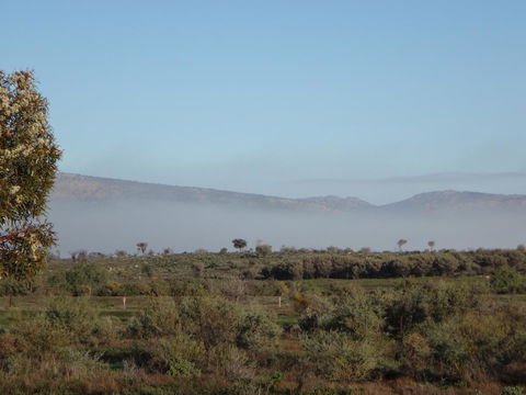 Windana Cottages - Accommodation Rockhampton 44