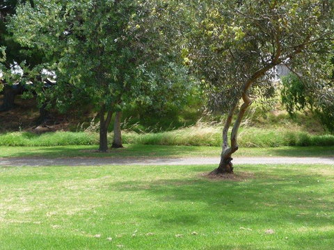 Victor Harbor Holiday Park - Accommodation Rockhampton 24