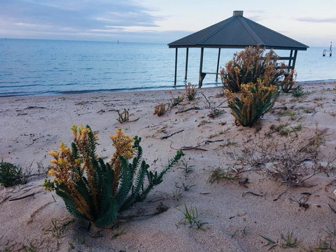 Crystal Blue Apartment - Accommodation Rockhampton 24