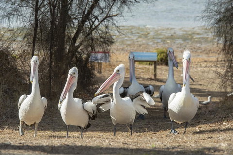 Mercure Kangaroo Island Lodge - Accommodation Rockhampton 15