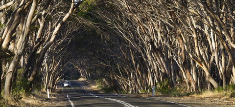 Mercure Kangaroo Island Lodge - Accommodation Rockhampton 40