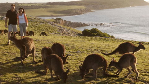 Kangaroo Island Seafront - Accommodation Rockhampton 13