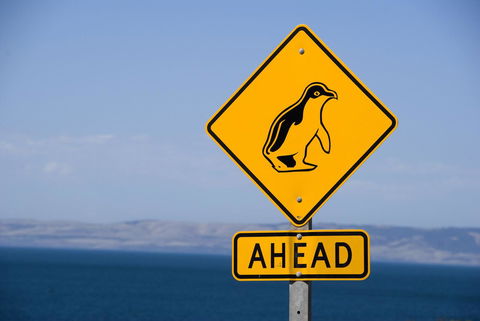 Kangaroo Island Seafront - Accommodation Rockhampton 43