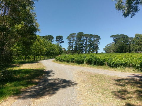 Lost In The Vines - Accommodation Rockhampton 28