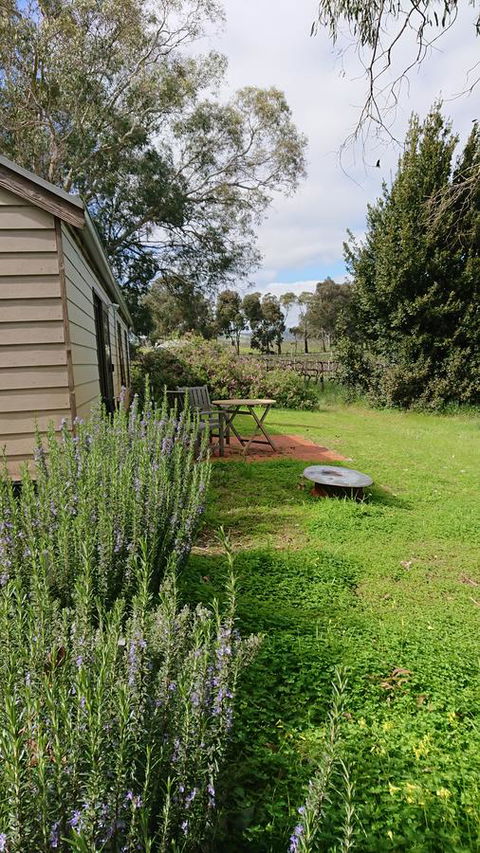 Lost In The Vines - Accommodation Rockhampton 22