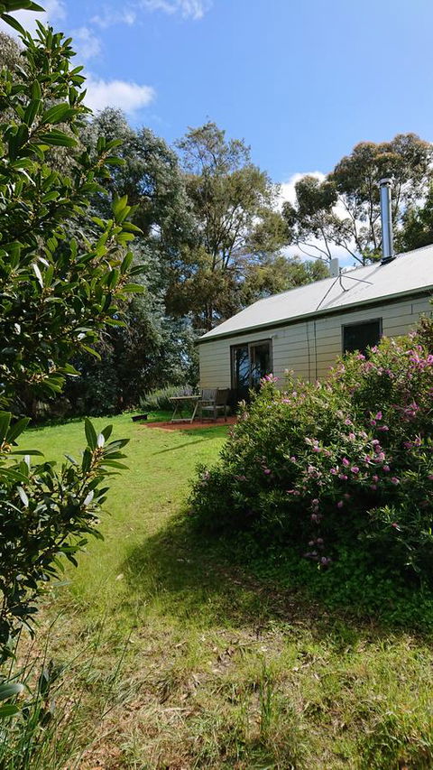 Lost In The Vines - Accommodation Rockhampton 26