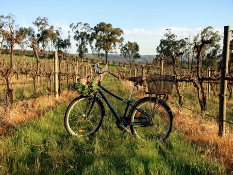 Lost In The Vines - Accommodation Rockhampton 17
