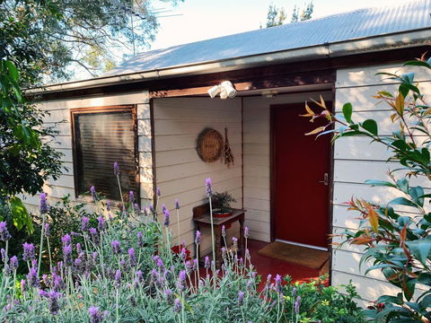 Lost In The Vines - Accommodation Rockhampton 13