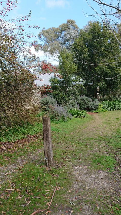 Lost In The Vines - Accommodation Rockhampton 21