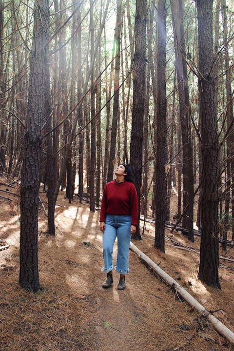 Lost In The Vines - Accommodation Rockhampton 19