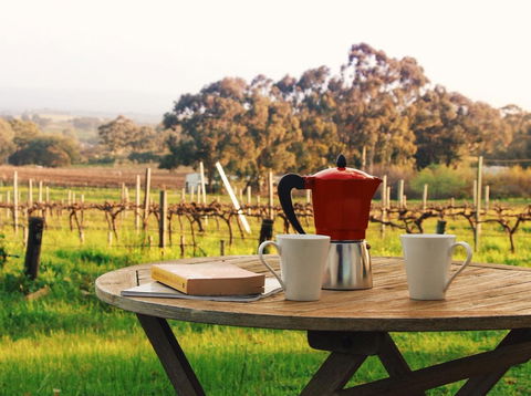 Lost In The Vines - Accommodation Rockhampton 1