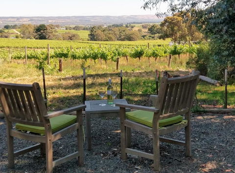 Lost In The Vines - Accommodation Rockhampton 23