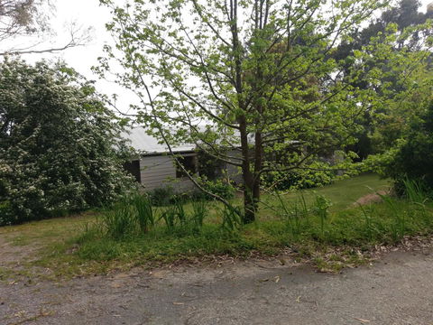 Lost In The Vines - Accommodation Rockhampton 24