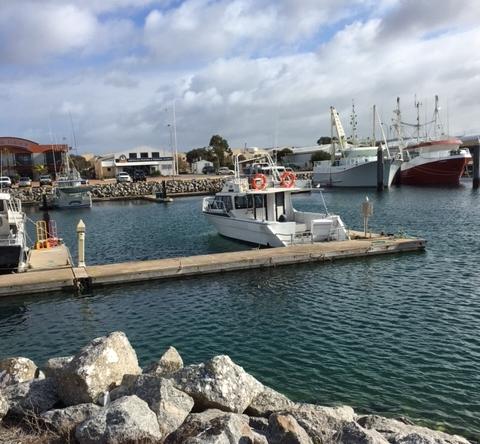 Port Lincoln Shark Apartment 1 - Accommodation Rockhampton 14