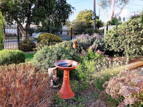 Beautiful Garden House - Accommodation Rockhampton 21