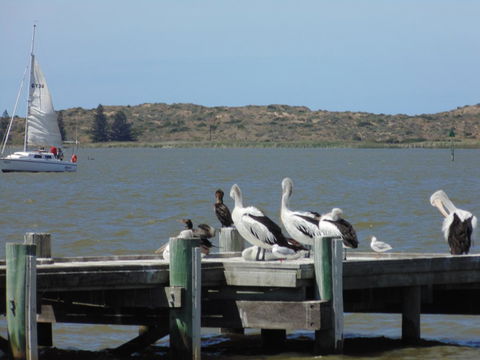 Baronet B & B - Accommodation Rockhampton 20