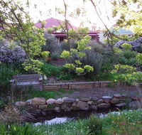 Frog Song at Willunga - Accommodation Rockhampton