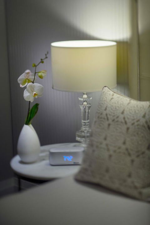 Mayfair Hotel - Accommodation Rockhampton 13