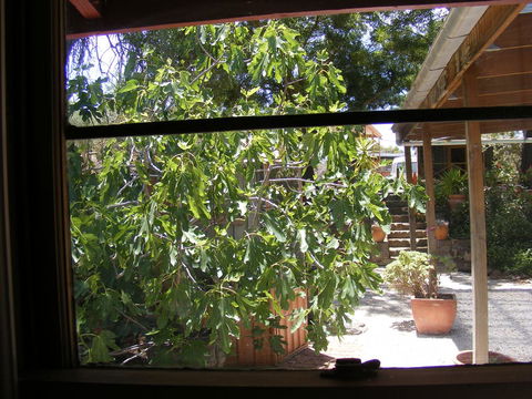 Trevalia Accommodation - Accommodation Rockhampton 4