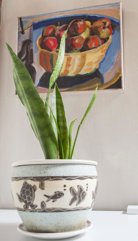 Trevalia Accommodation - Accommodation Rockhampton 27