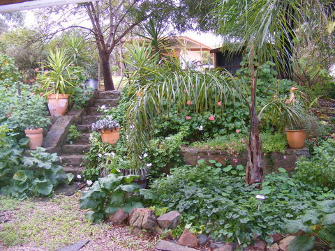 Trevalia Accommodation - Accommodation Rockhampton 12