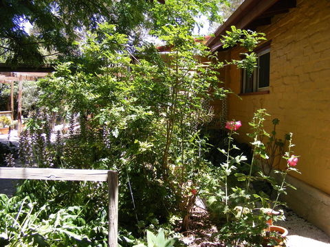 Trevalia Accommodation - Accommodation Rockhampton 7