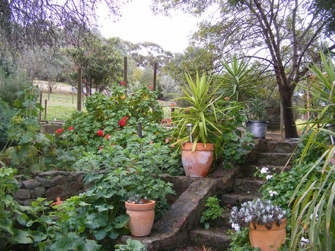 Trevalia Accommodation - Accommodation Rockhampton 13