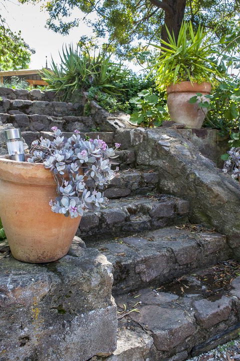 Trevalia Accommodation - Accommodation Rockhampton 22