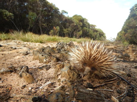 Kangaroo Island Wilderness Retreat - Accommodation Rockhampton 20