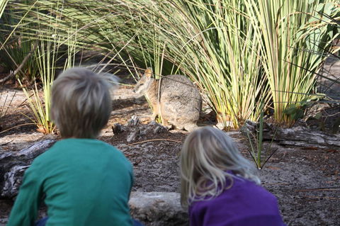 Kangaroo Island Wilderness Retreat - Accommodation Rockhampton 30