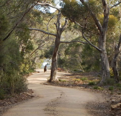 Kangaroo Island Wilderness Retreat - Accommodation Rockhampton 22