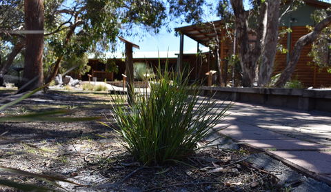 Kangaroo Island Wilderness Retreat - Accommodation Rockhampton 21