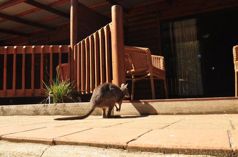Kangaroo Island Wilderness Retreat - Accommodation Rockhampton 9