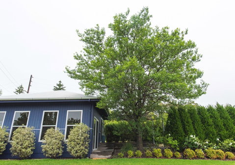 S T U D I O 22 Peaceful Retreat With Garden Views - Accommodation Rockhampton 11