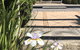 S T U D I O 22 Peaceful Retreat With Garden Views - thumb 13