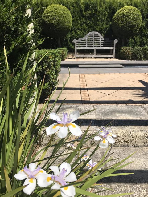 S T U D I O 22 Peaceful Retreat With Garden Views - Accommodation Rockhampton 13