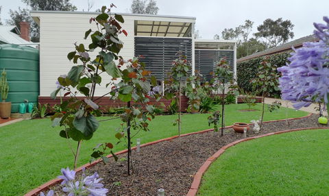 Grassmere House Magill - Accommodation Rockhampton 19