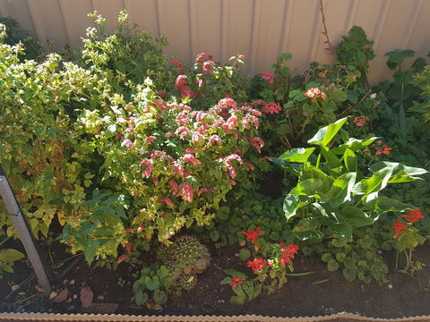 Tanunda\'s Magpie House - Accommodation Rockhampton 24