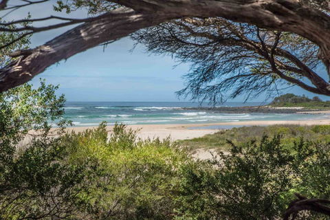 BIG4 Tasman Holiday Parks - Racecourse Beach - Accommodation Rockhampton 7