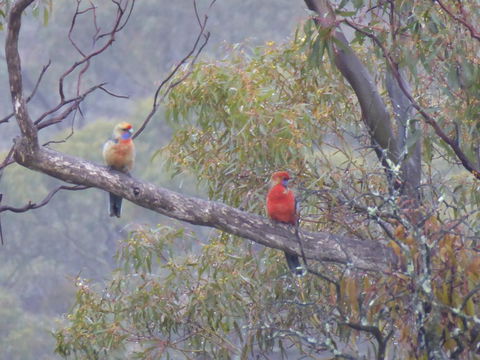 Molly's Chase - Accommodation Rockhampton 13