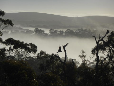 Molly's Chase - Accommodation Rockhampton 28