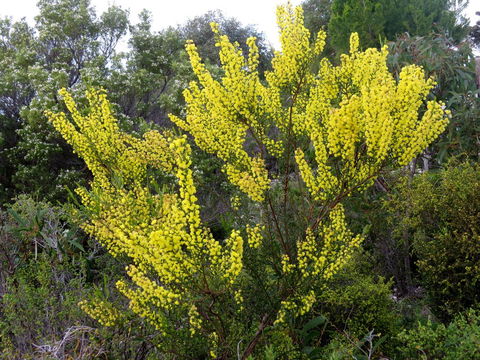 Kestrel Downs - Accommodation Rockhampton 26