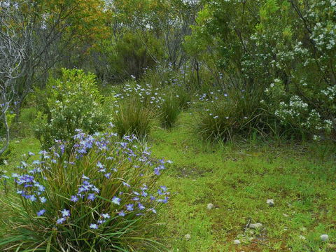 Kestrel Downs - Accommodation Rockhampton 32