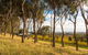 Shadow Creek McLaren Vale - thumb 5