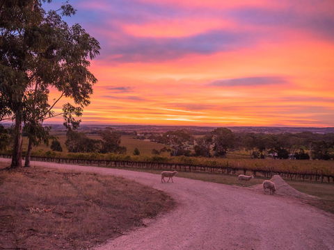 Shadow Creek McLaren Vale - Accommodation Rockhampton 24